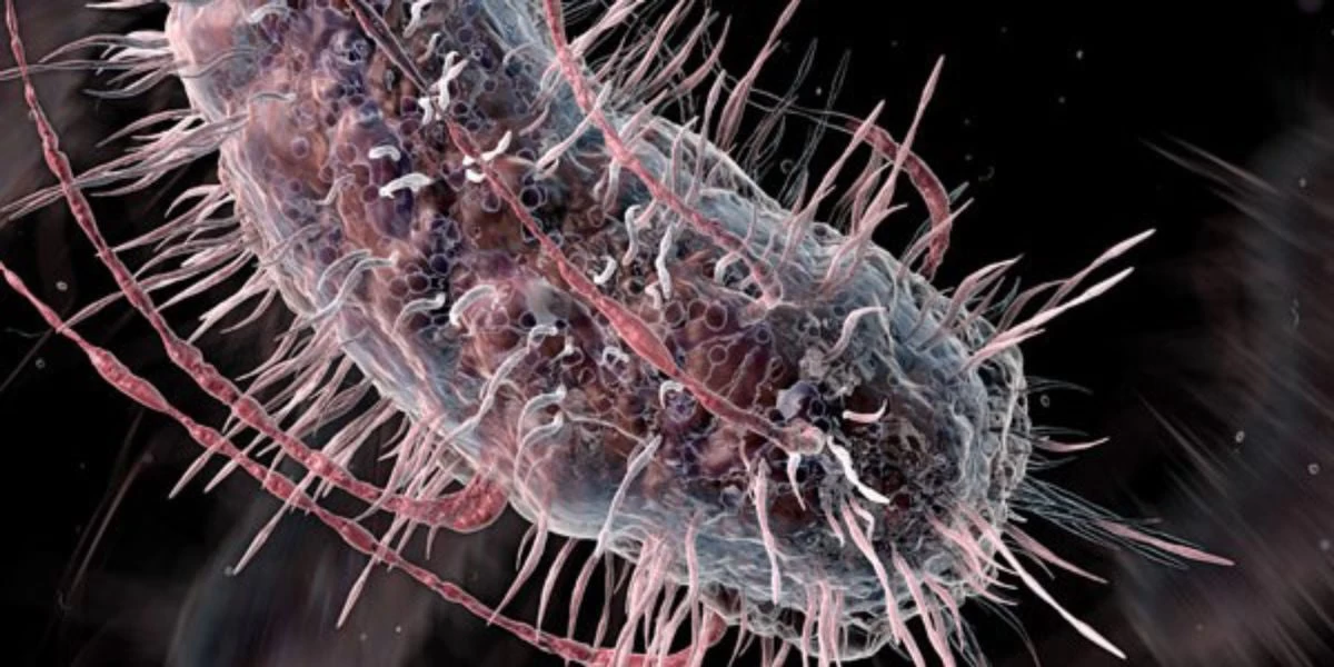 Βιολόγοι φτιάχνουν ένα απρόσβλητο από τους ιούς βακτήριο